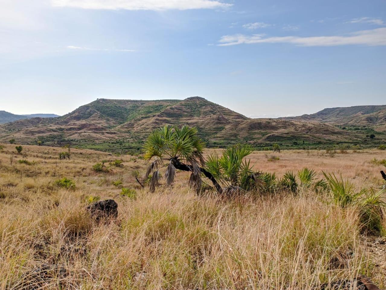 La Maison D'Hote De La Foret Retrouvee Mahajanga Exteriér fotografie
